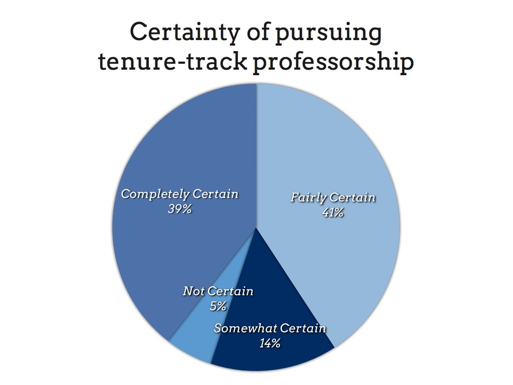 graph showing the certainty of pursuing tenure-track professorship