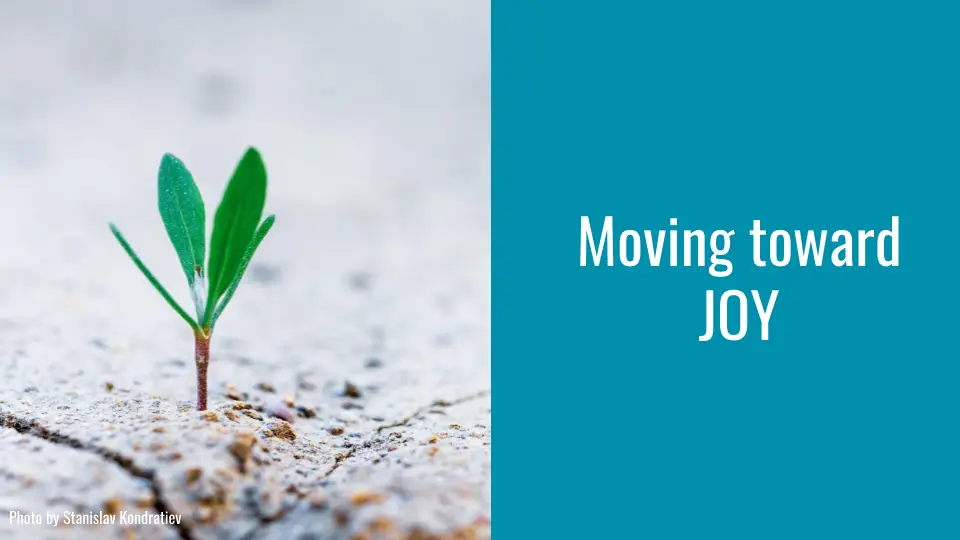 Slide with photo of a small seedling pushing through dry ground on the left, and "Moving toward JOY" on the right