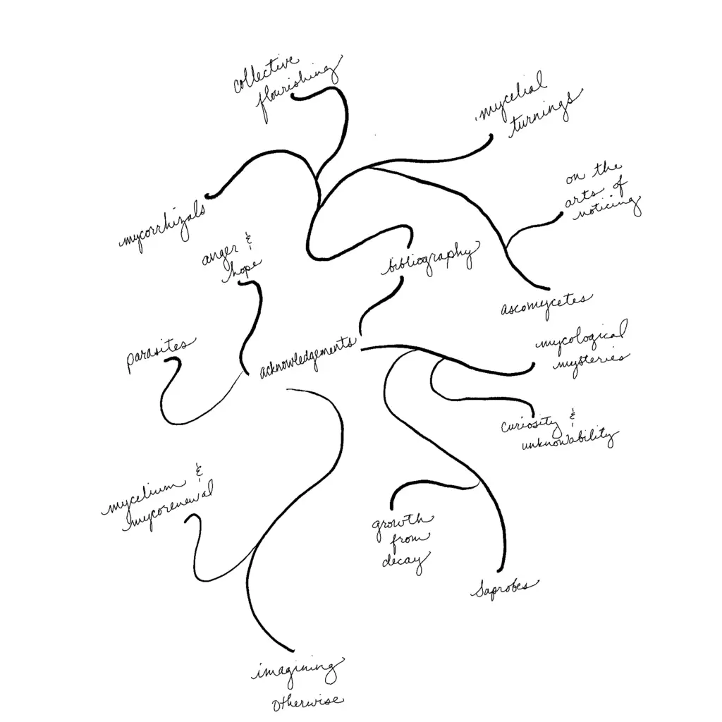 A hand-drawn image of organic curving lines connecting chapter titles and vocabulary related to fungi